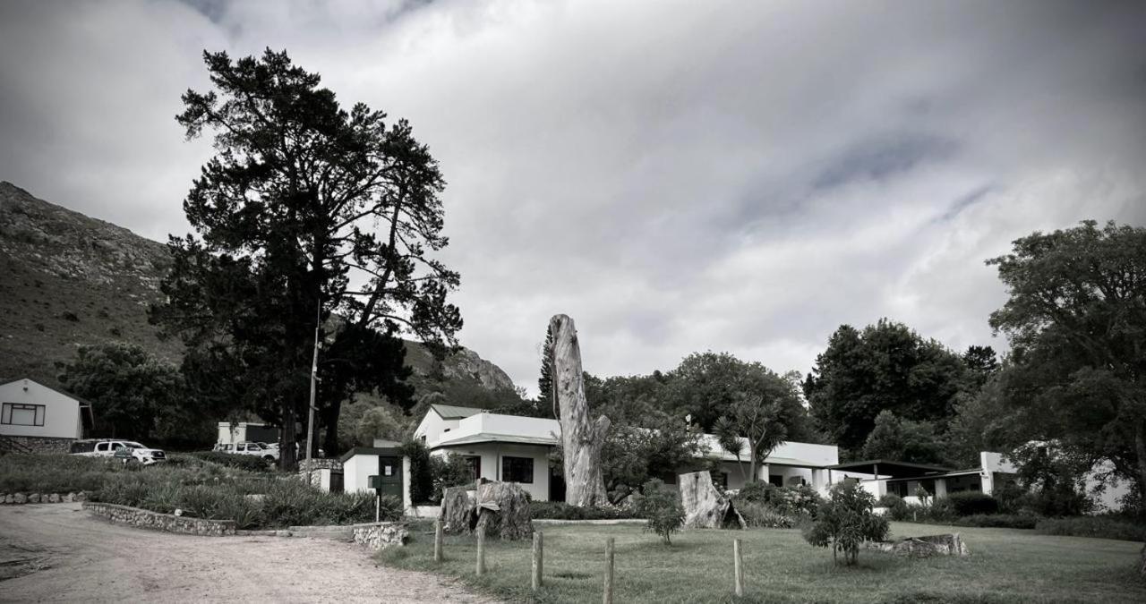The Volmoed Trust Vila Hermanus Exterior foto