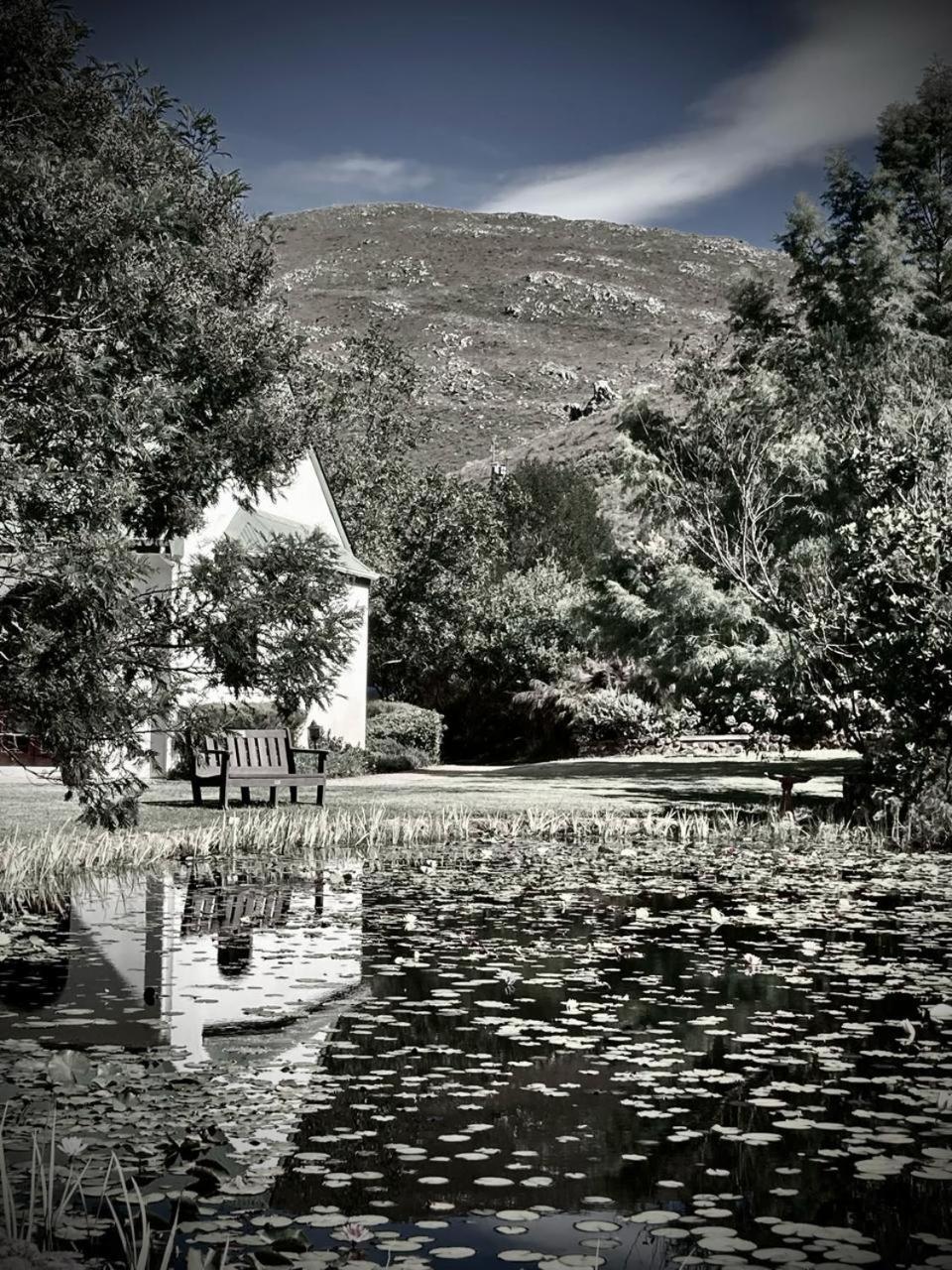 The Volmoed Trust Vila Hermanus Exterior foto