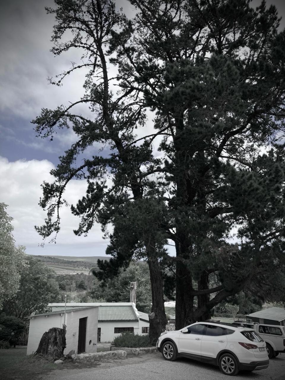 The Volmoed Trust Vila Hermanus Exterior foto